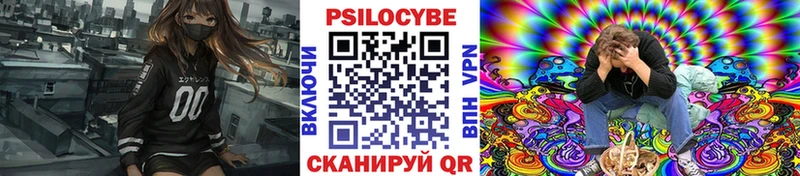 Псилоцибиновые грибы Cubensis  Белово 